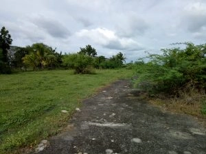 Property 4